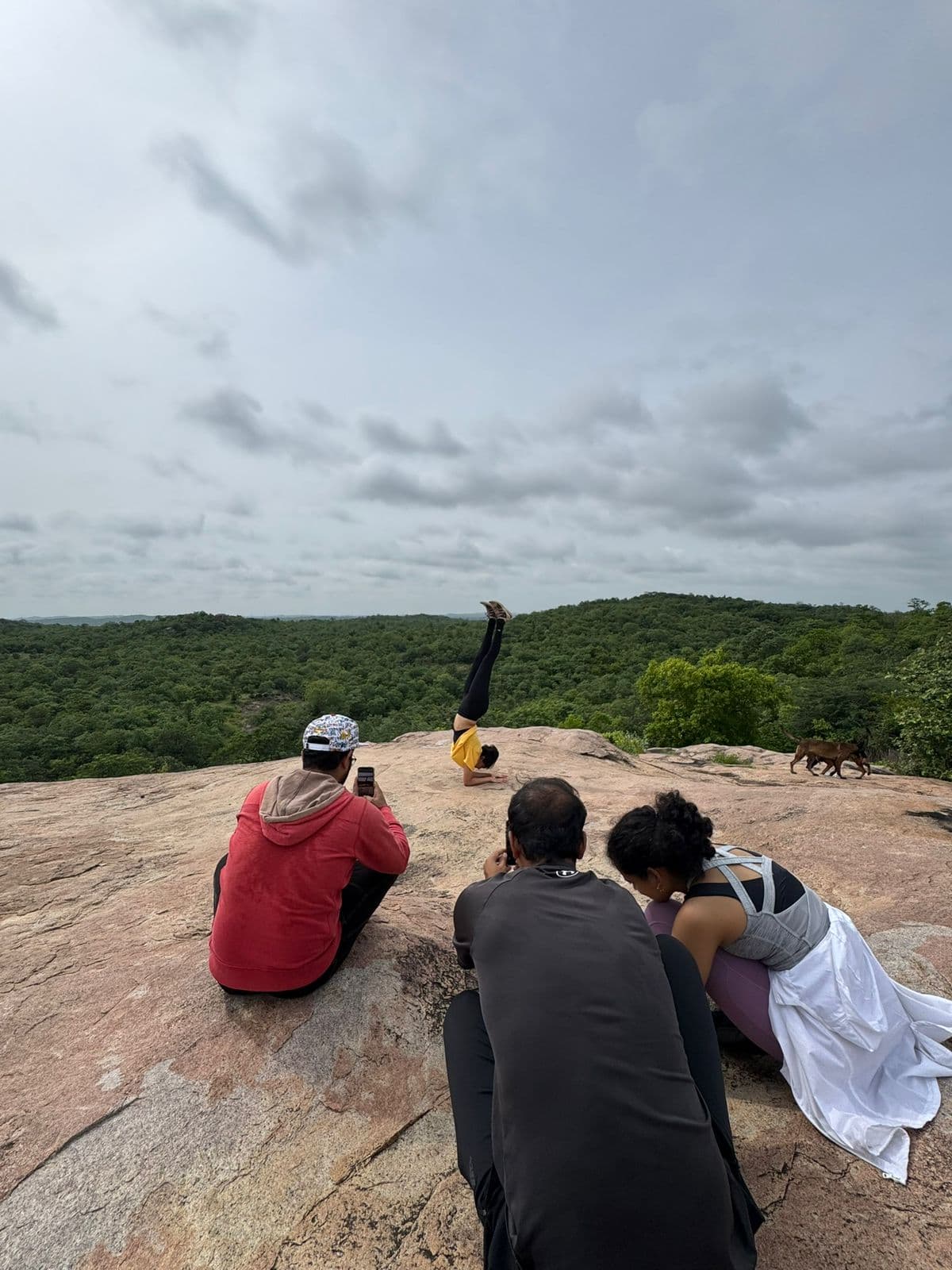 Forest Lore special view gallery photo 14