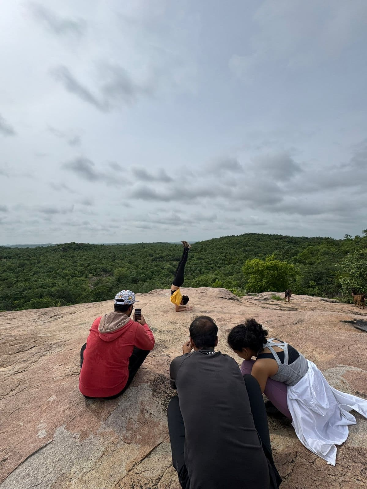 Forest Lore special view gallery photo 15