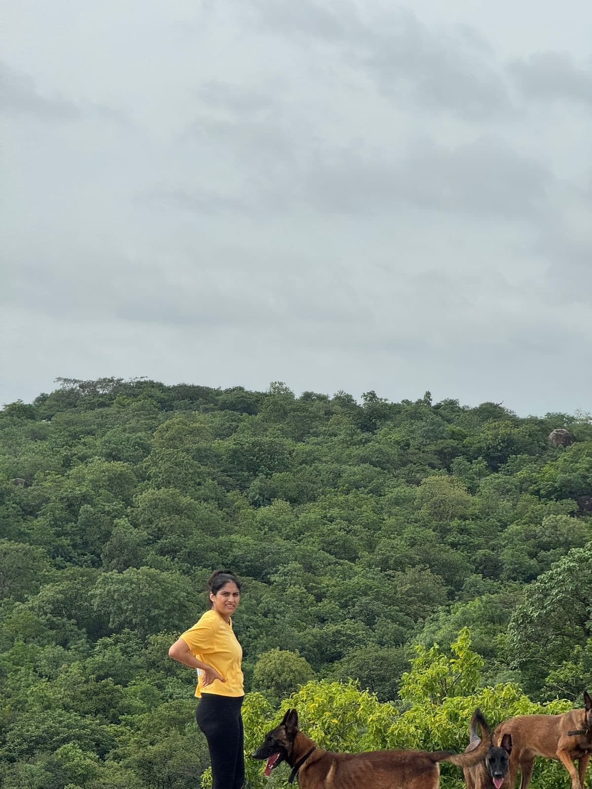 Forest Lore special view gallery photo 16