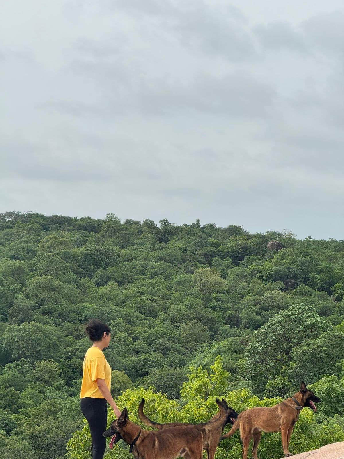 Forest Lore special view gallery photo 17