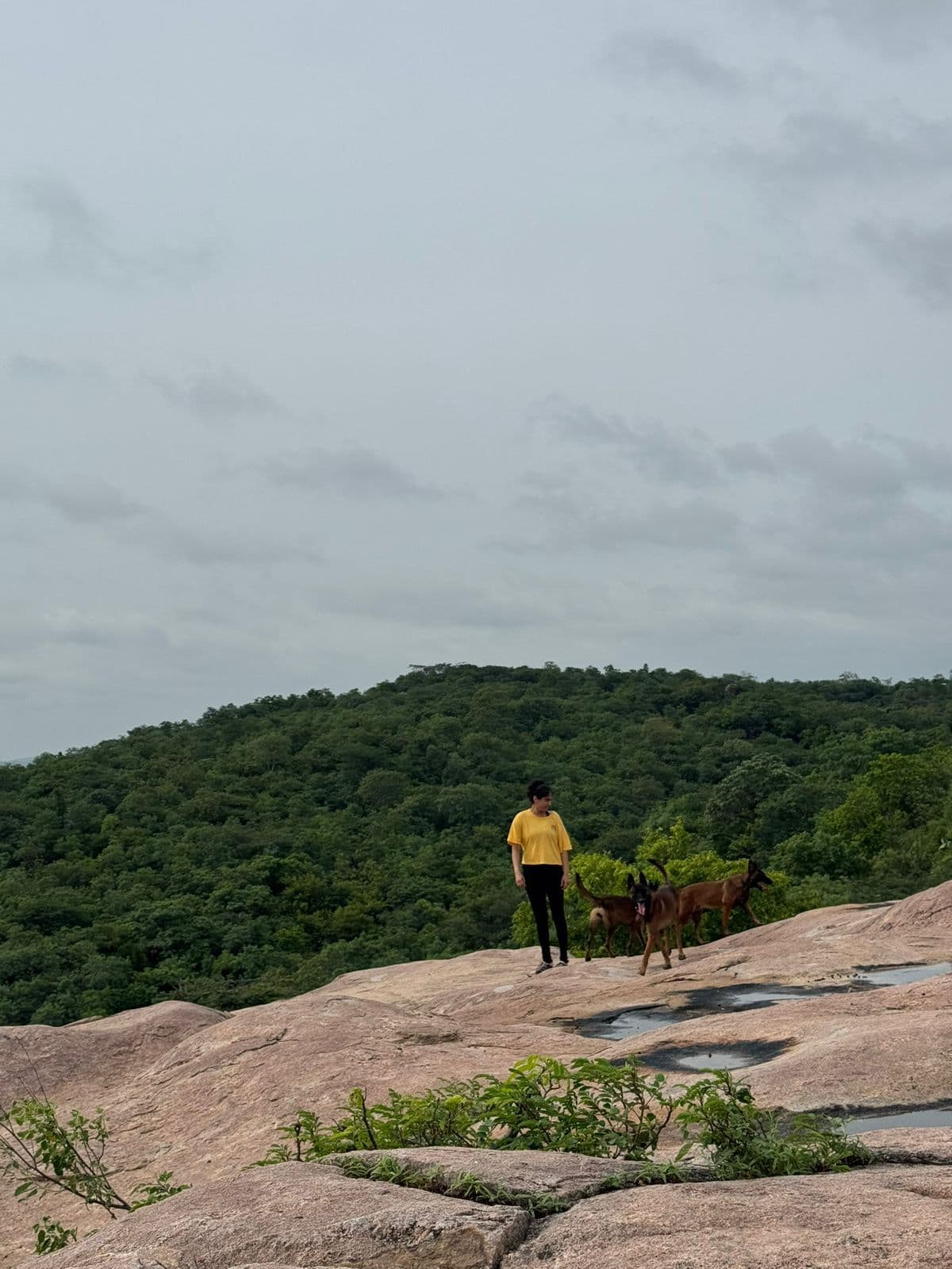 Forest Lore special view gallery photo 20