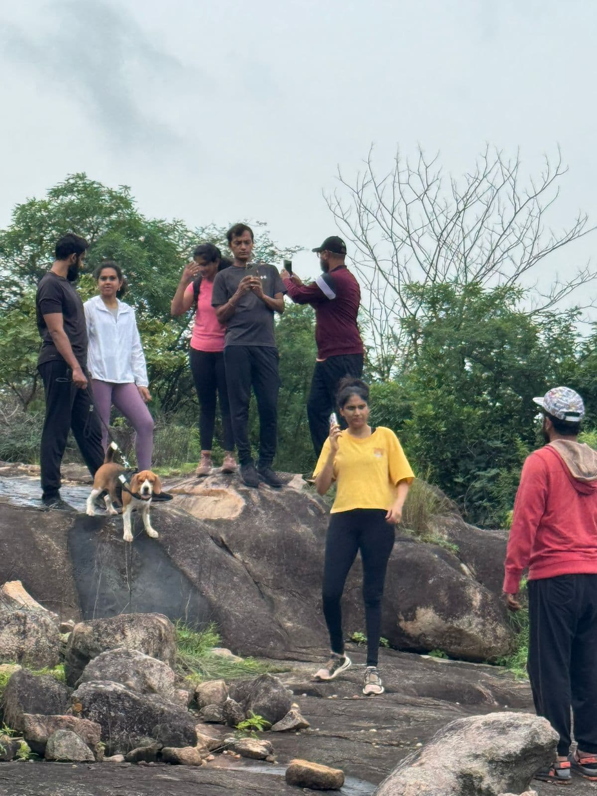 Forest Lore special view gallery photo 26