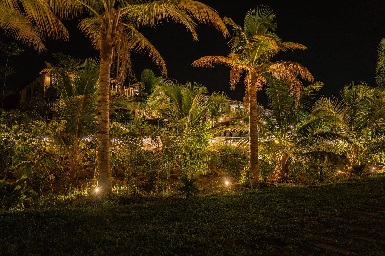 Forest Lore resort night view ambient shot 41 Narsapur Forest Hyderabad
