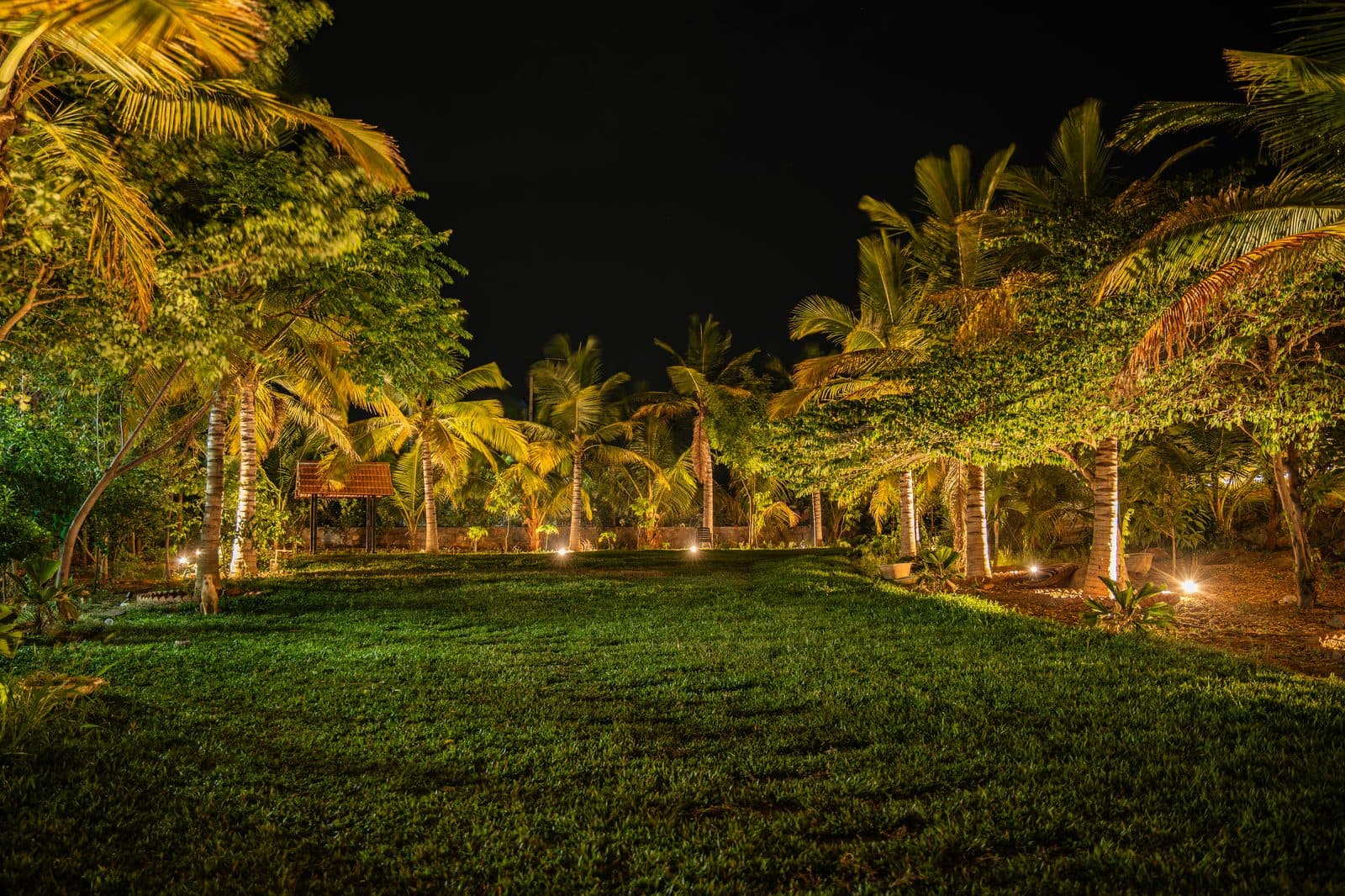 Forest Lore resort night view ambient shot 42 Narsapur Forest Hyderabad